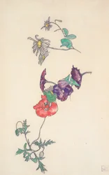  Margeriten, Winding und Mohnblumen
